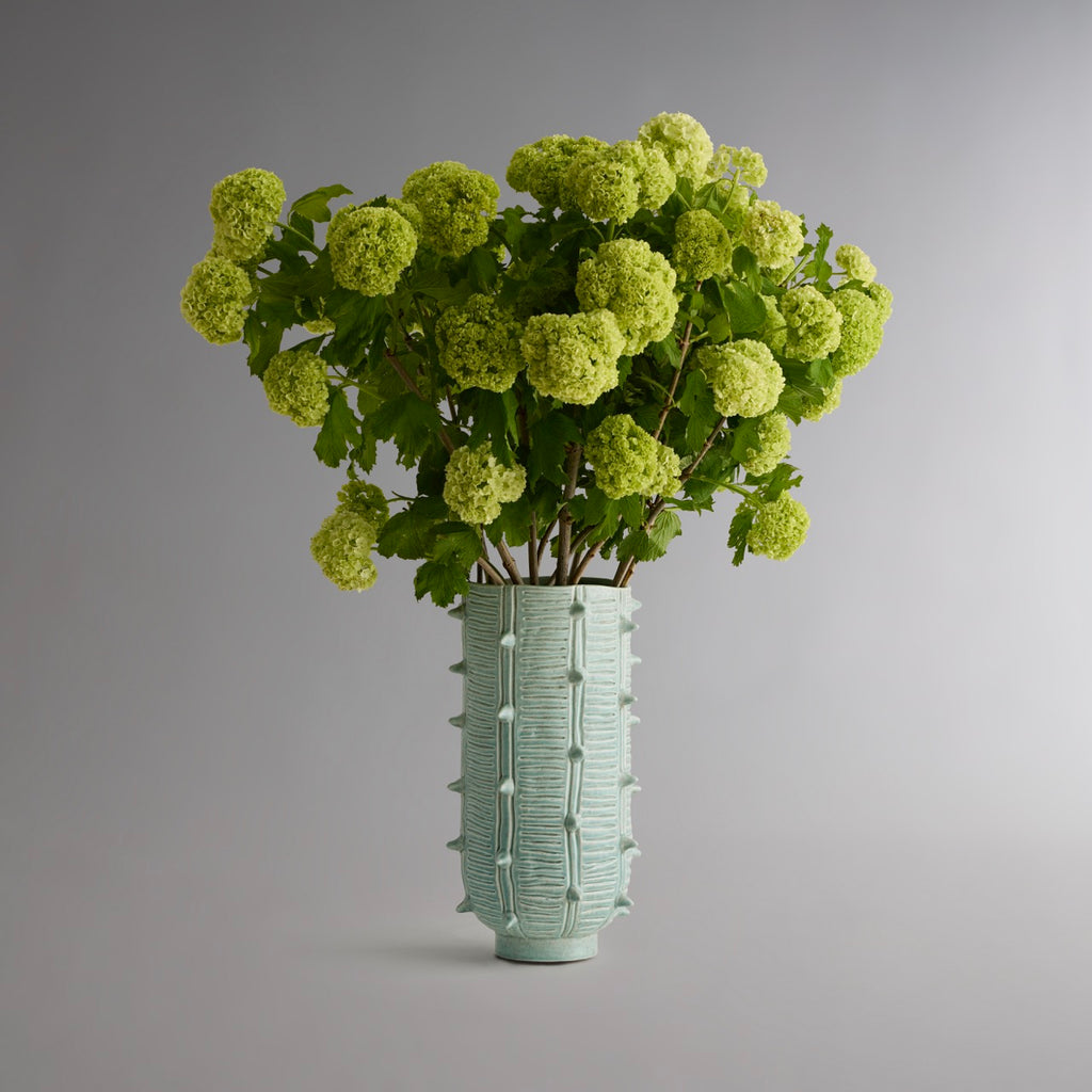 CACTI Vase – MOUS